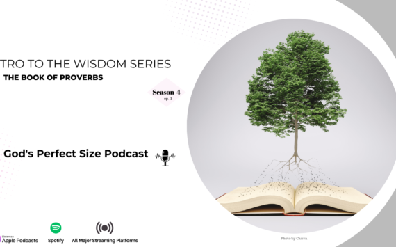 Intro the Wisdom Series in Proverbs