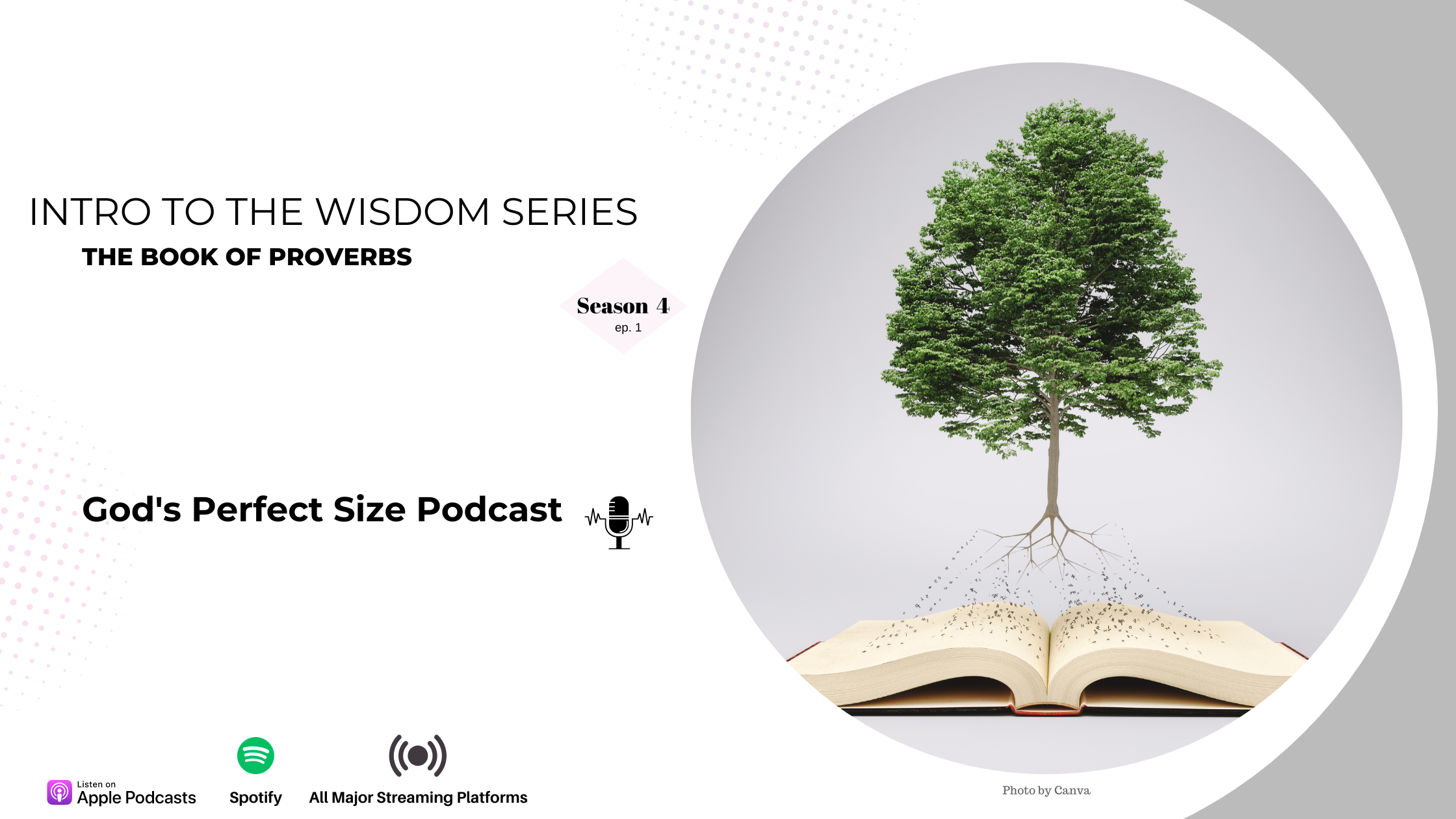 Intro the Wisdom Series in Proverbs